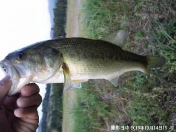 �֥�å��Х�