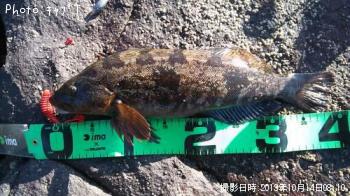 �����ʥ�