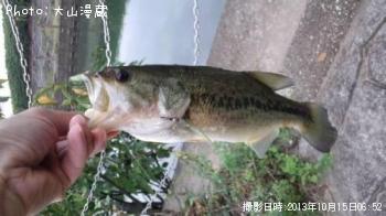 ¥Ö¥é¥Ã¥¯¥Ð¥¹