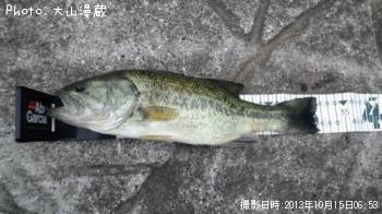 ¥Ö¥é¥Ã¥¯¥Ð¥¹