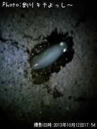 �����ꥤ��