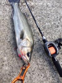 �����Х�