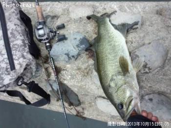 ¥Ö¥é¥Ã¥¯¥Ð¥¹