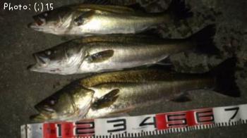 �����Ф�