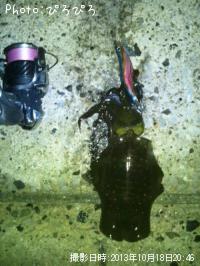 �����ꥤ��