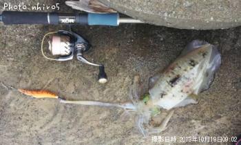 �����ꥤ��