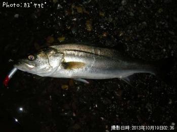 �����Х�