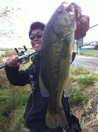 ¥Ö¥é¥Ã¥¯¥Ð¥¹