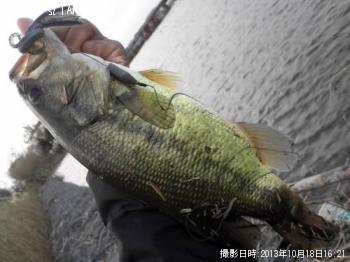 �֥�å��Х�