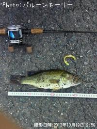 �֥�å��Х�