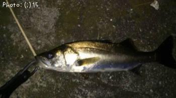 �����Ф�