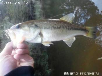 �֥�å��Х�