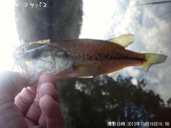 �֥�å��Х�