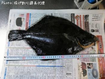 ¥Û¥·¥¬¥ì¥¤