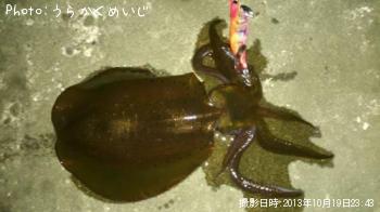 �����ꥤ��