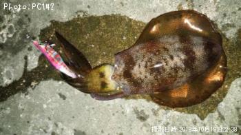 �����ꥤ��