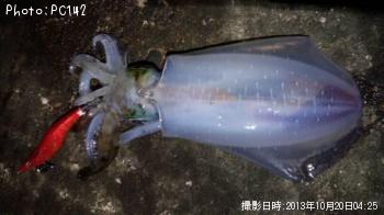 �����ꥤ��