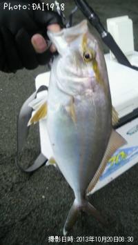 ¥·¥ç¥´¡ß£²