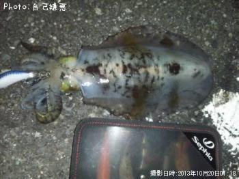 �����ꥤ��