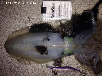 ¥¢¥ª¥ê¥¤¥«