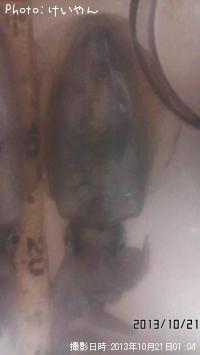 �����ꥤ��