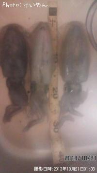 �����ꥤ��