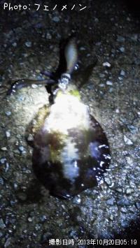 �����ꥤ��