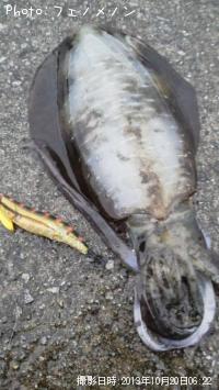 �����ꥤ��