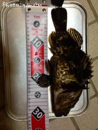 �����Υ���Х�