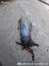 �����ꥤ��