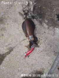 �����ꥤ��