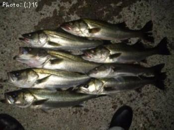 �����Ф�