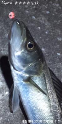 ��Х���᥸�ʡ������Х�