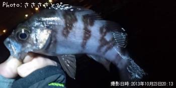 ��Х���᥸�ʡ������Х�