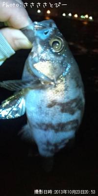 ��Х���᥸�ʡ������Х�