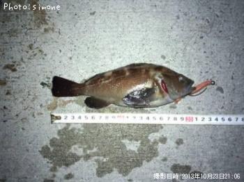 ������Х�