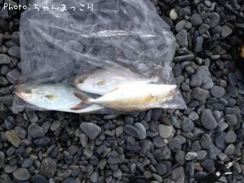 ���祴������