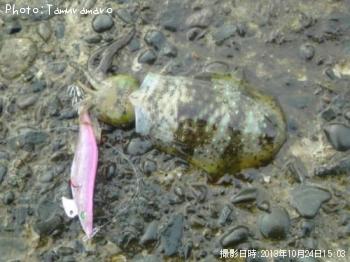 �����ꥤ��