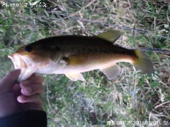 ¥Ö¥é¥Ã¥¯¥Ð¥¹