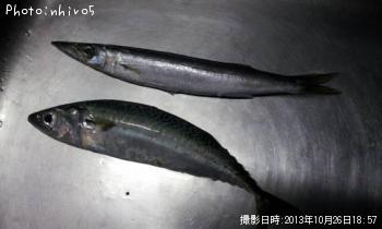 ���С����ޤ�