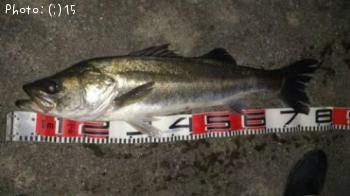 �����Ф�