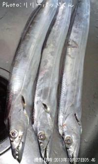 ���å�����