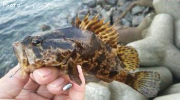 �������������Υ�