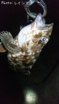 �������������Υ�