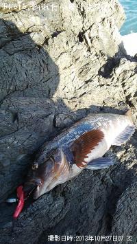 �����ʥ�