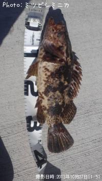 ¥¿¥±¥Î¥³¥á¥Ð¥ë