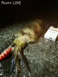 �����ꥤ��