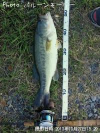 �֥�å��Х�