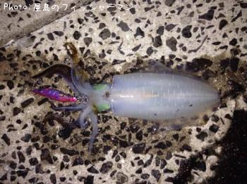 �����ꥤ��