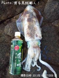 ¥¢¥ª¥ê¥¤¥«